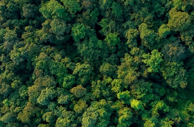 S&C---Accreditation-Partial